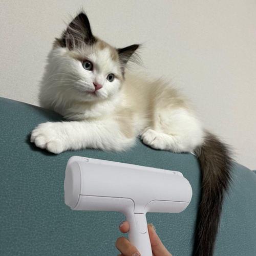 에이치플러스몰 고양이털 털제거 반영구 돌돌이 (WB999B4)