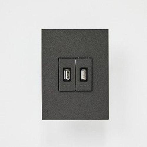 제닛 USB 2구 차져 B타입 고속충전 안트라사이트 ABB WFCA7DB