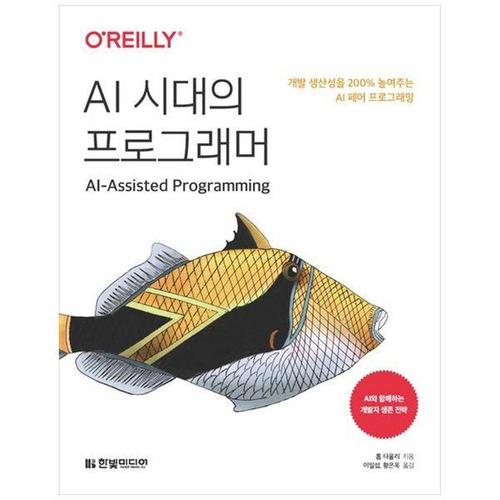 보리보리 [하나북스퀘어]AI 시대의 프로그래머 ：개발 생산성을 200 높여주는 AI 페어 프로그래밍
