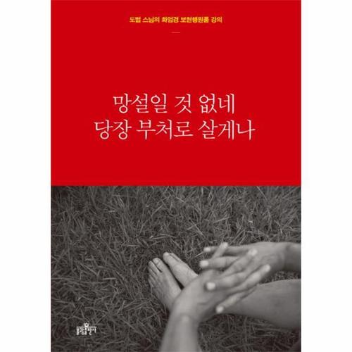 [웅진북센]망설일 것 없네 당장 부처로 살게나 도법 스님의 화엄경 보현행원품 강의