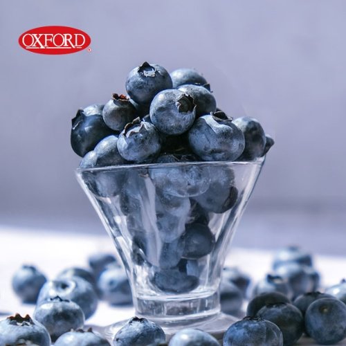[OXFORD] 캐나다 직수입 옥스포드 야생블루베리 340g×5팩