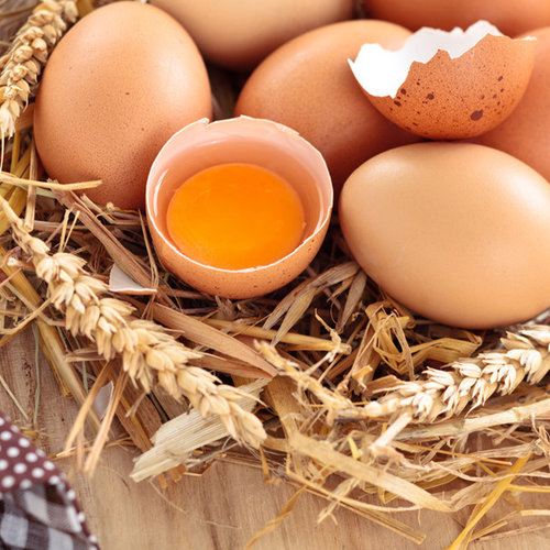 난각번호1번 유정란 20구 무항생제 자연방사 대란 계란 달걀