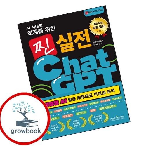 AI 시대의 회계를 위한 찐 실전 ChatGPT (생성형 AI 활용 재무제표 작성과 분석) 책