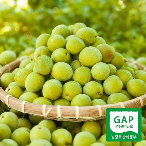 갤러리아_[6월8일 순차출고]광양매화골매실 매실 왕특 10kg(청매실 엑기