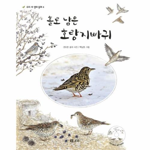 보리보리 [웅진북센]홀로남은 호랑지빠귀-4(우리 새 생태 동화)CD1 포함