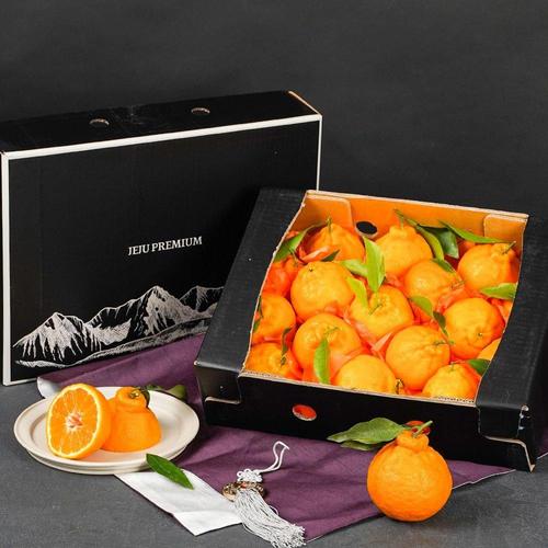 갤러리아_한라봉 선물세트 2.5kg 소과 15-20과+부직포가방 명절선물