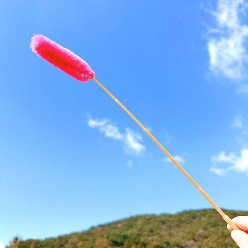 고양이 장난감 강아지풀 모형 놀이 (WFHTT5J)