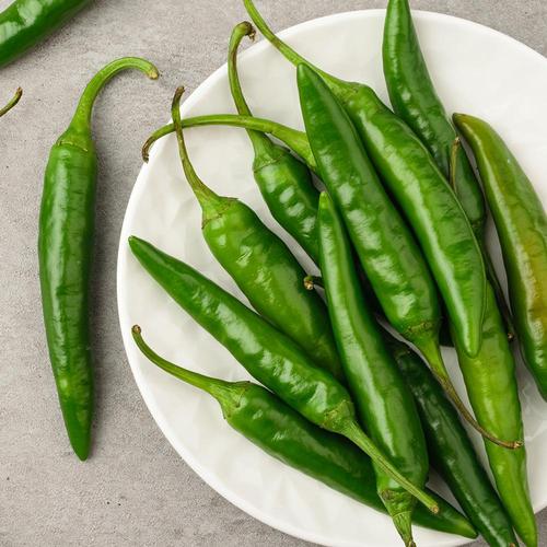 최고집명품자두 [맛딜] 아삭한 국내산 오이고추 아삭이 고추 5kg
