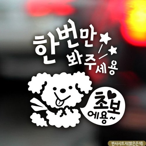 자동차용품 한번만봐주세용 푸들이 초보운전스티커 반사 익스테리어용품