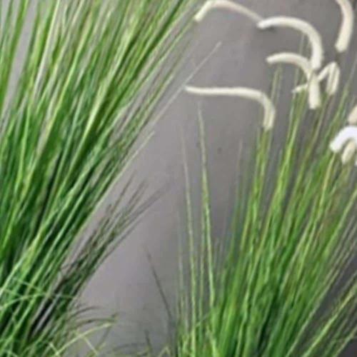 강아지풀 조화 인테리어 소품 그린 화이트 90cm 리얼한 갈대 장식 (WFK3EDA)