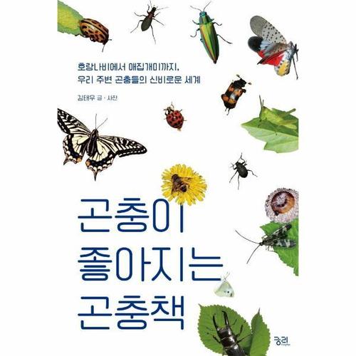 [웅진북센]곤충이 좋아지는 곤충책 ： 호랑나비에서 애집개미까지, 우리 주변 곤충들의 신비로운 세계