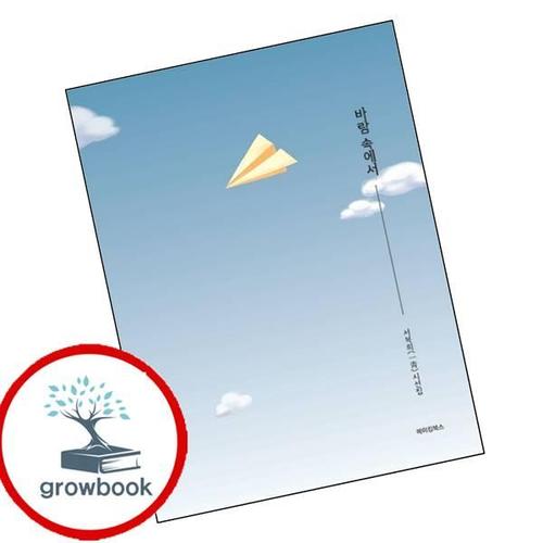 바람 속에서 바람속에서 책