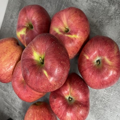 홍로사과 소과10kg(45-58과) 실속형 알뜰사과 25년산