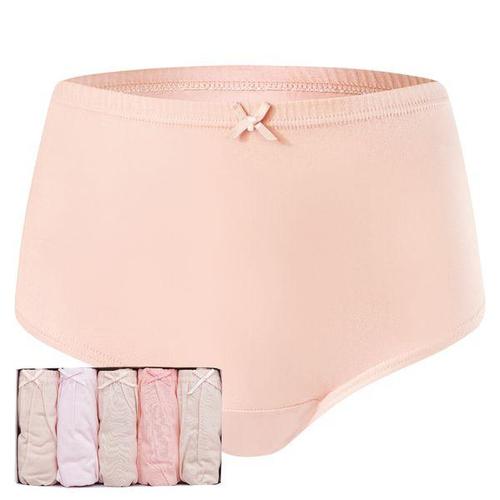 [BYC]여성 순면 맥시 삼각 팬티 5매입 세트 8201