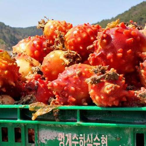 4월제철 햇멍게,홍합살,바지락,홍가리비,석화 골라담기