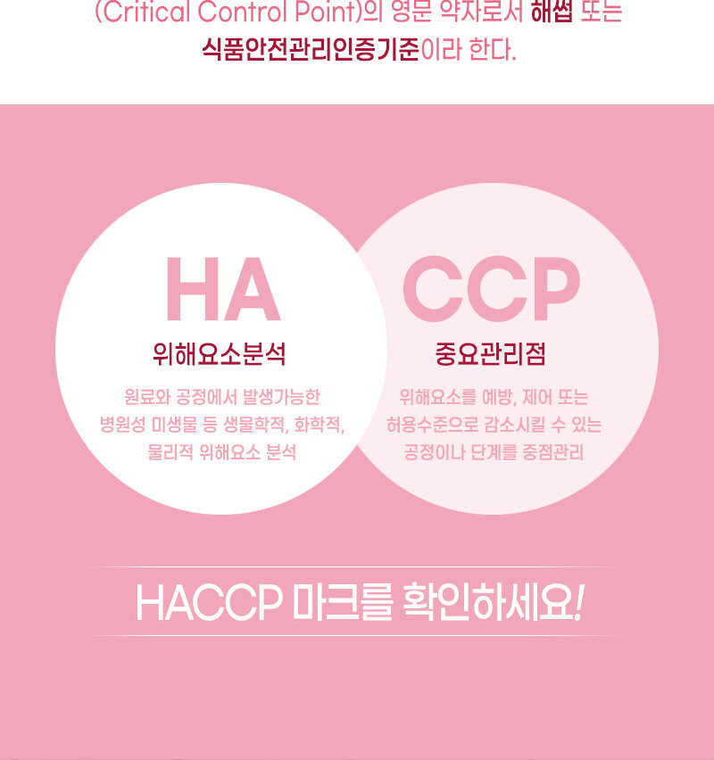 마마코인 육수한알